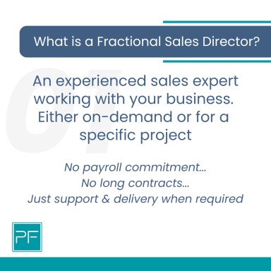 Text promoting a fractional sales director service, highlighting flexibility and support.